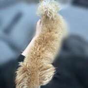 ヒメ日記 2025/04/03 17:43 投稿 かな☆エッチなプリンセス☆ アネキャンモード