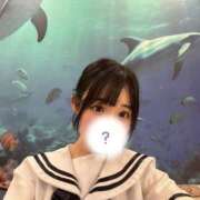 ヒメ日記 2025/06/08 02:10 投稿 はるの 浜松ハンパじゃない学園