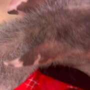 ヒメ日記 2025/12/26 14:20 投稿 はるの 浜松ハンパじゃない学園