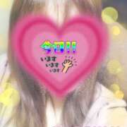 ヒメ日記 2025/04/13 10:31 投稿 夏海 ゆら こあくまな熟女たち 千葉店（KOAKUMAグループ）