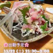 ヒメ日記 2025/11/21 07:08 投稿 夏海 ゆら こあくまな熟女たち 千葉店（KOAKUMAグループ）