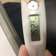 ヒメ日記 2025/03/30 13:17 投稿 チヒロ(奥方) 奥様幕府