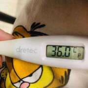 ヒメ日記 2025/04/04 15:27 投稿 チヒロ(奥方) 奥様幕府