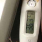 ヒメ日記 2025/04/07 14:47 投稿 チヒロ(奥方) 奥様幕府