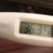 ヒメ日記 2025/04/08 14:57 投稿 チヒロ(奥方) 奥様幕府