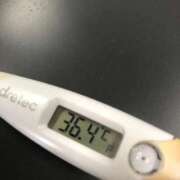 ヒメ日記 2025/04/20 12:47 投稿 チヒロ(奥方) 奥様幕府