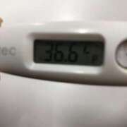 ヒメ日記 2025/04/22 14:17 投稿 チヒロ(奥方) 奥様幕府