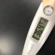 ヒメ日記 2025/06/25 15:07 投稿 チヒロ(奥方) 奥様幕府