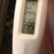 ヒメ日記 2025/06/26 14:34 投稿 チヒロ(奥方) 奥様幕府