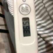 ヒメ日記 2025/11/07 15:29 投稿 チヒロ(奥方) 奥様幕府