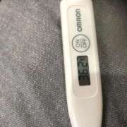 ヒメ日記 2025/11/09 12:57 投稿 チヒロ(奥方) 奥様幕府