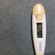 ヒメ日記 2025/11/27 14:57 投稿 チヒロ(奥方) 奥様幕府
