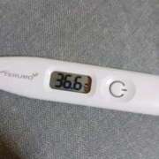 ヒメ日記 2025/11/30 13:37 投稿 チヒロ(奥方) 奥様幕府