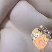 ヒメ日記 2026/02/17 01:17 投稿 チヒロ(奥方) 奥様幕府