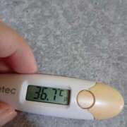 ヒメ日記 2026/02/17 13:17 投稿 チヒロ(奥方) 奥様幕府