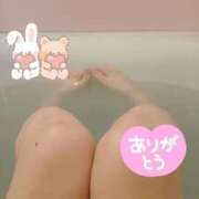 ヒメ日記 2026/02/21 06:31 投稿 チヒロ(奥方) 奥様幕府