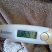 ヒメ日記 2026/02/22 13:57 投稿 チヒロ(奥方) 奥様幕府