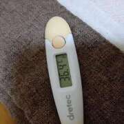 ヒメ日記 2026/03/10 12:37 投稿 チヒロ(奥方) 奥様幕府