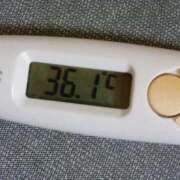 ヒメ日記 2026/03/17 14:23 投稿 チヒロ(奥方) 奥様幕府