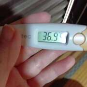 ヒメ日記 2026/03/19 14:57 投稿 チヒロ(奥方) 奥様幕府