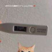 ヒメ日記 2025/11/30 22:24 投稿 四宮ももか 手コキ研修塾