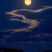 ヒメ日記 2025/11/05 07:21 投稿 まゆ クラブレア南大阪