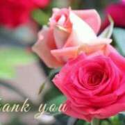 ヒメ日記 2025/09/16 09:12 投稿 まお イエスグループ熊本 TSUBAKI(ツバキ)