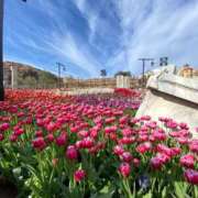 ヒメ日記 2025/04/04 12:29 投稿 まいか with SPA (ウィズスパ)