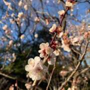 ヒメ日記 2025/04/05 14:41 投稿 まいか with SPA (ウィズスパ)