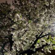 ヒメ日記 2025/04/06 21:46 投稿 まいか with SPA (ウィズスパ)