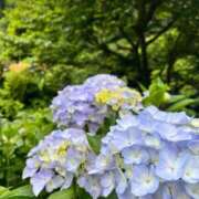 ヒメ日記 2025/06/03 10:37 投稿 まいか with SPA (ウィズスパ)