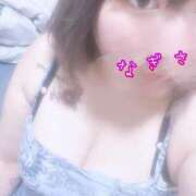 ヒメ日記 2025/08/15 14:50 投稿 なぎさ 山口周南ちゃんこ