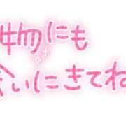 ヒメ日記 2025/06/05 21:40 投稿 辻井由香里 五十路マダム　広島店