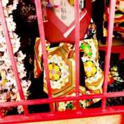 ヒメ日記 2025/03/28 13:52 投稿 ひな sakura