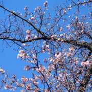 ヒメ日記 2025/03/27 22:32 投稿 片山りな 五十路マダム 新潟店(カサブランカグループ)