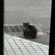 ヒメ日記 2025/03/29 10:48 投稿 片山りな 五十路マダム 新潟店(カサブランカグループ)