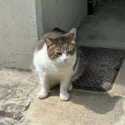 ヒメ日記 2025/05/21 20:50 投稿 片山りな 五十路マダム 新潟店(カサブランカグループ)