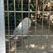 ヒメ日記 2025/12/24 12:06 投稿 片山りな 五十路マダム 新潟店(カサブランカグループ)