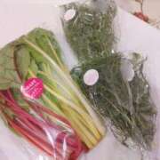 ヒメ日記 2025/06/20 20:31 投稿 えりか イエスグループ熊本 TSUBAKI(ツバキ)