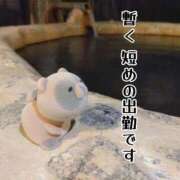 えりか 明日から 復帰です🌸 イエスグループ熊本 TSUBAKI(ツバキ)