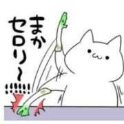 ヒメ日記 2026/06/06 20:44 投稿 えりか イエスグループ熊本 TSUBAKI(ツバキ)