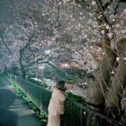 ヒメ日記 2025/03/31 00:19 投稿 えりな 君とふわふわプリンセスin川越