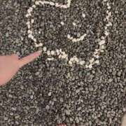 ヒメ日記 2025/04/27 08:40 投稿 えりな 君とふわふわプリンセスin川越