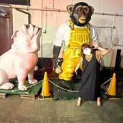 ヒメ日記 2025/05/03 00:51 投稿 えりな 君とふわふわプリンセスin川越