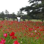 ヒメ日記 2025/05/08 12:02 投稿 えりな 君とふわふわプリンセスin川越