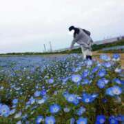 ヒメ日記 2025/05/13 23:23 投稿 えりな 君とふわふわプリンセスin川越
