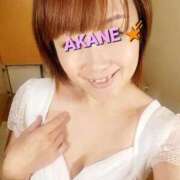 ヒメ日記 2025/04/09 23:31 投稿 あかね あとりえ(ATELIER)