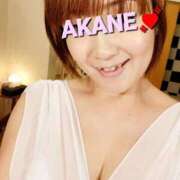 ヒメ日記 2025/04/13 23:30 投稿 あかね あとりえ(ATELIER)