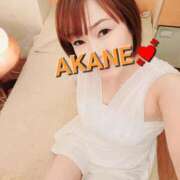 ヒメ日記 2025/04/24 00:15 投稿 あかね あとりえ(ATELIER)