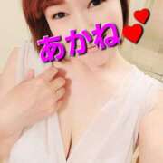 ヒメ日記 2025/04/25 23:31 投稿 あかね あとりえ(ATELIER)